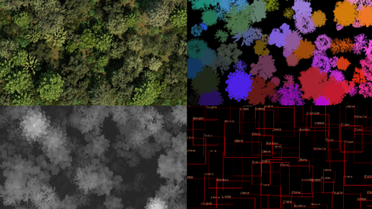 Synthetic Database For Forestry IA